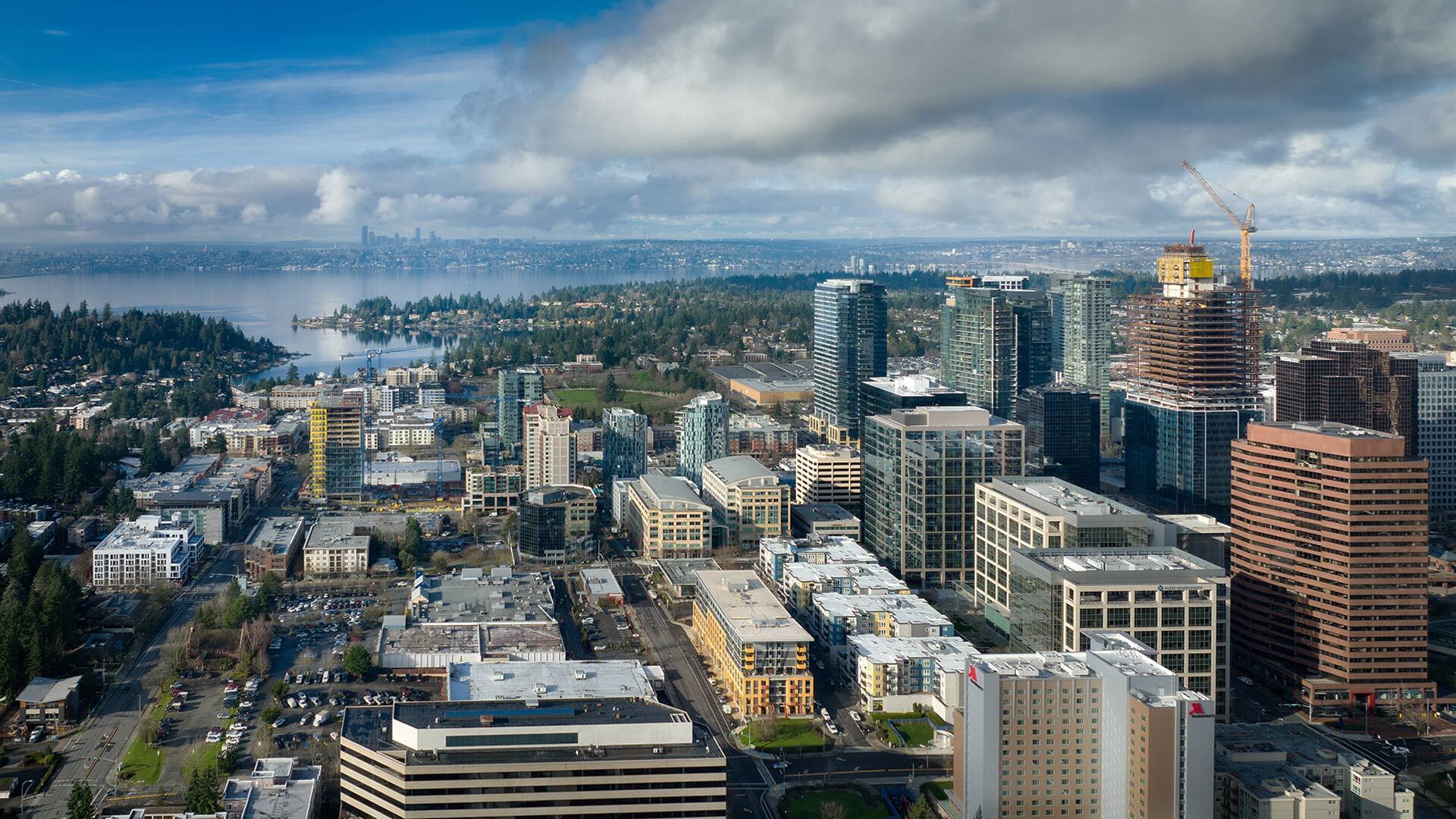 Stokely Luxury Apartments in Bellevue, WA