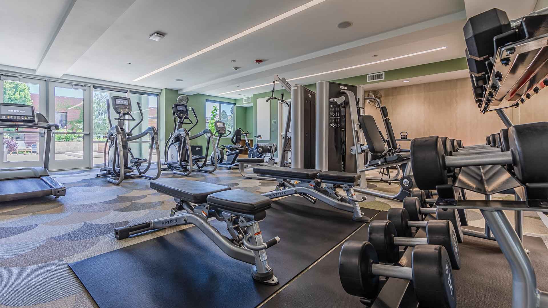 The lark san mateo fitness amenities