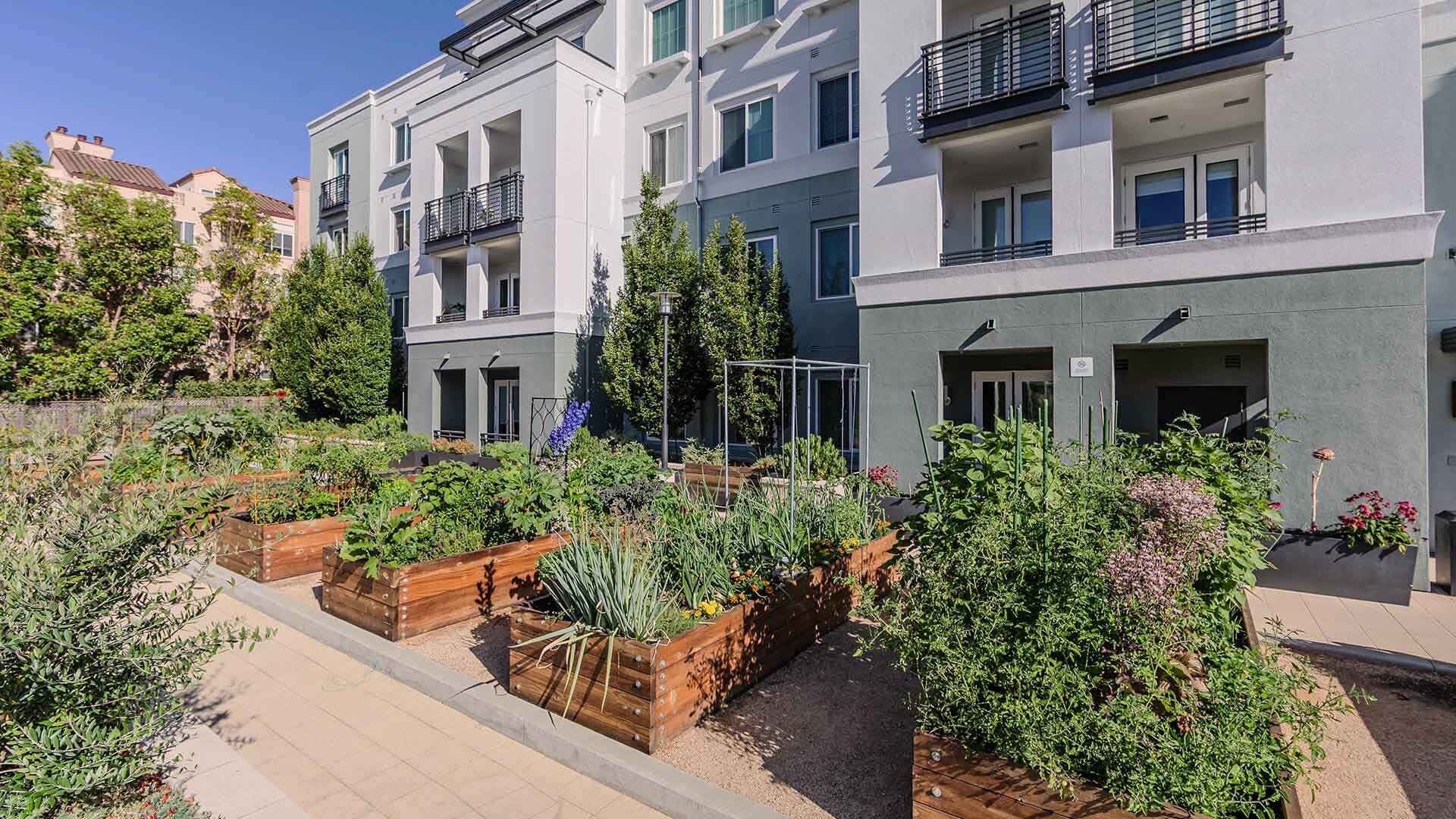 The lark san mateo garden amenities