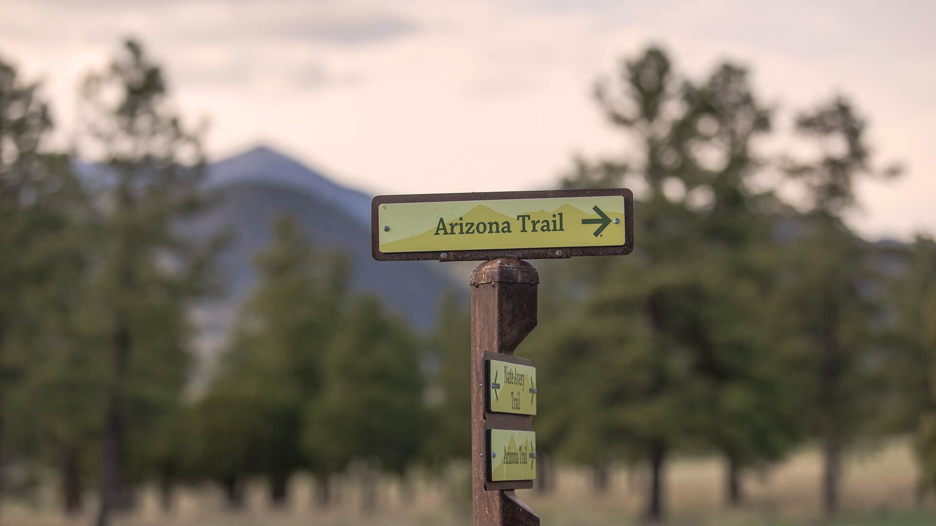 Vlm flagstaff arizona trail sign